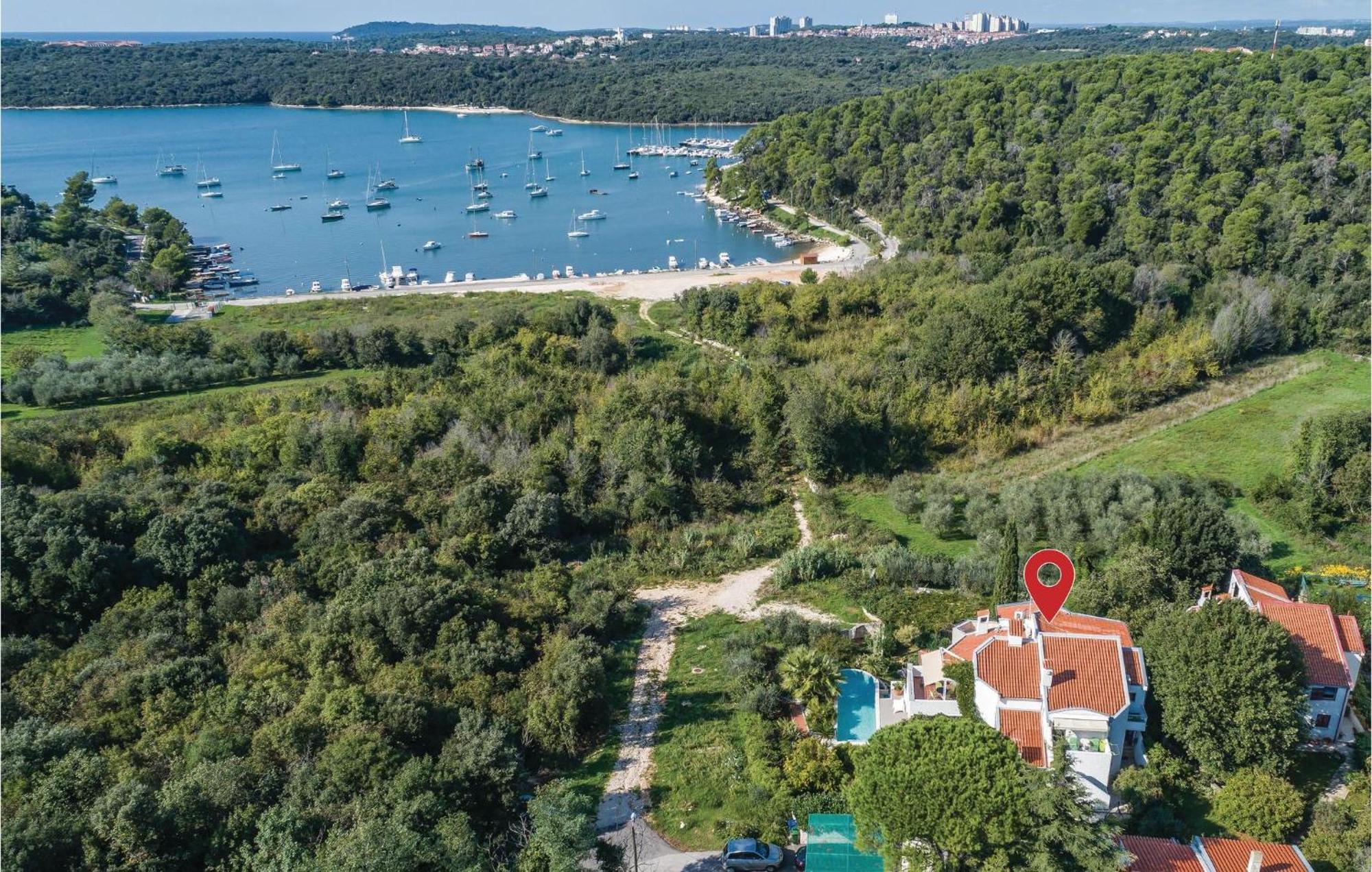 Pet Friendly In With Wifi Appartement *